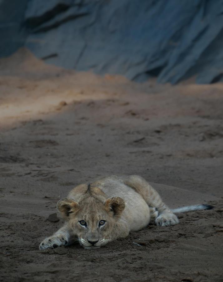 Manyoni Private Game Reserve Rhino Sands Safari Camp מראה חיצוני תמונה
